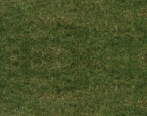 ModernGrass
