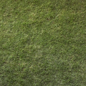 ModernGrass