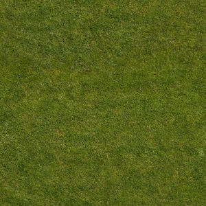 ModernGrass