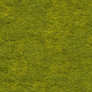 ModernGrass