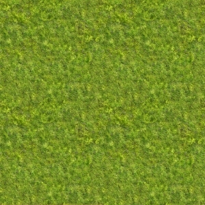 ModernGrass