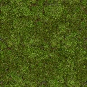ModernGrass