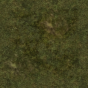 ModernGrass