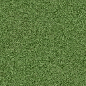 ModernGrass