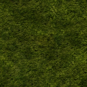 ModernGrass