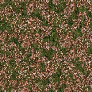 ModernGrass