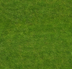 ModernGrass