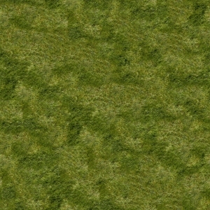 ModernGrass