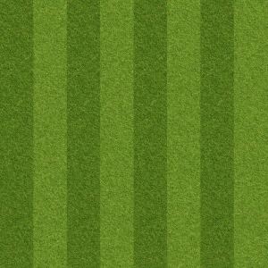 ModernGrass