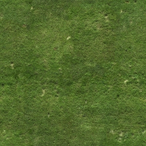 ModernGrass
