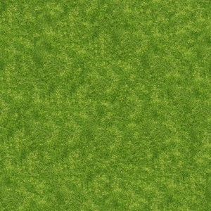 ModernGrass