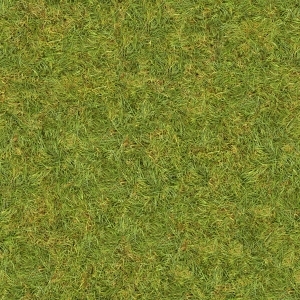 ModernGrass