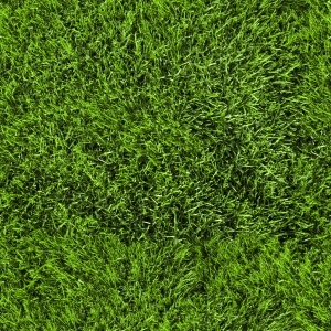 ModernGrass