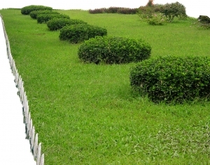 ModernGrass