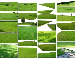 ModernGrass