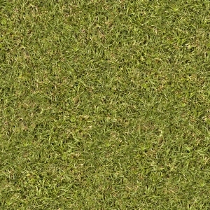 ModernGrass