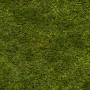 ModernGrass