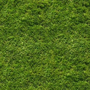 ModernGrass