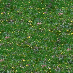 ModernGrass