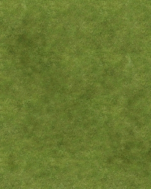 ModernGrass
