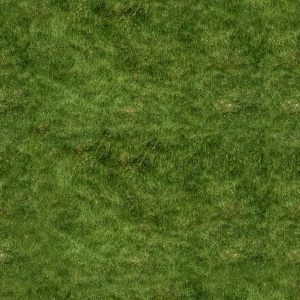 ModernGrass