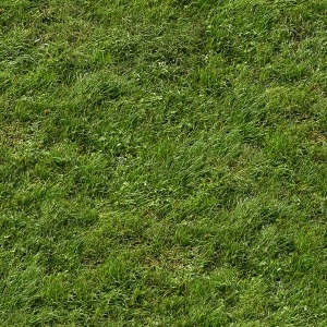 ModernGrass