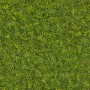 ModernGrass