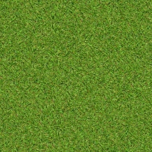 ModernGrass
