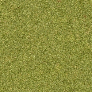ModernGrass