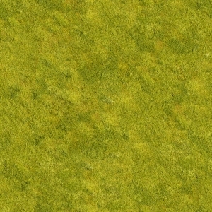 ModernGrass