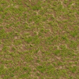 ModernGrass