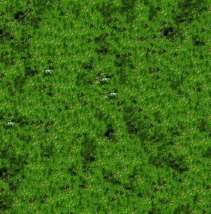 ModernGrass