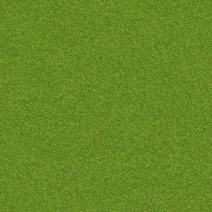 ModernGrass