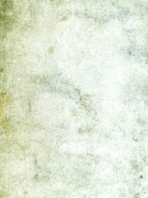 ModernGrass