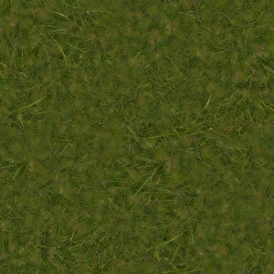 ModernGrass