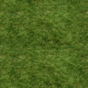 ModernGrass