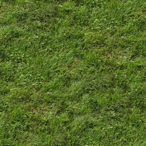 ModernGrass