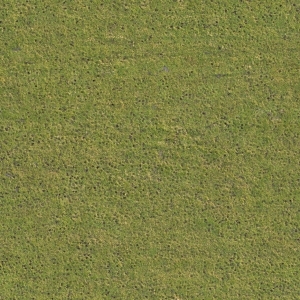 ModernGrass