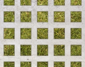 ModernGrass