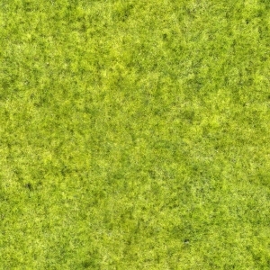 ModernGrass