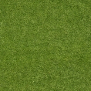ModernGrass