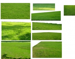 ModernGrass