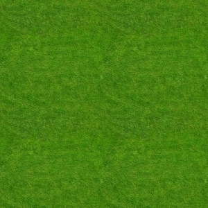 ModernGrass