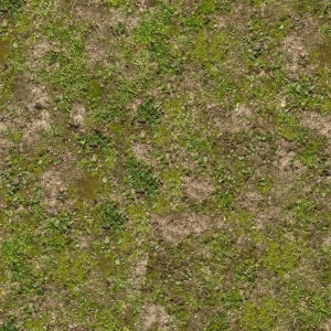 ModernGrass