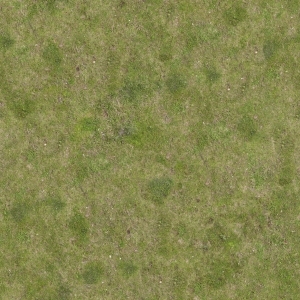 ModernGrass
