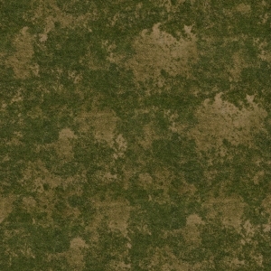 ModernGrass