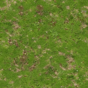 ModernGrass