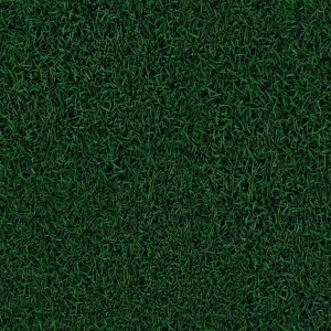 ModernGrass