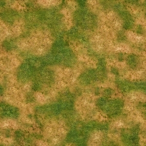 ModernGrass
