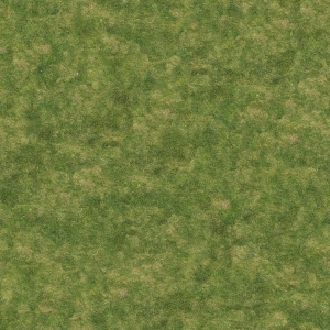 ModernGrass